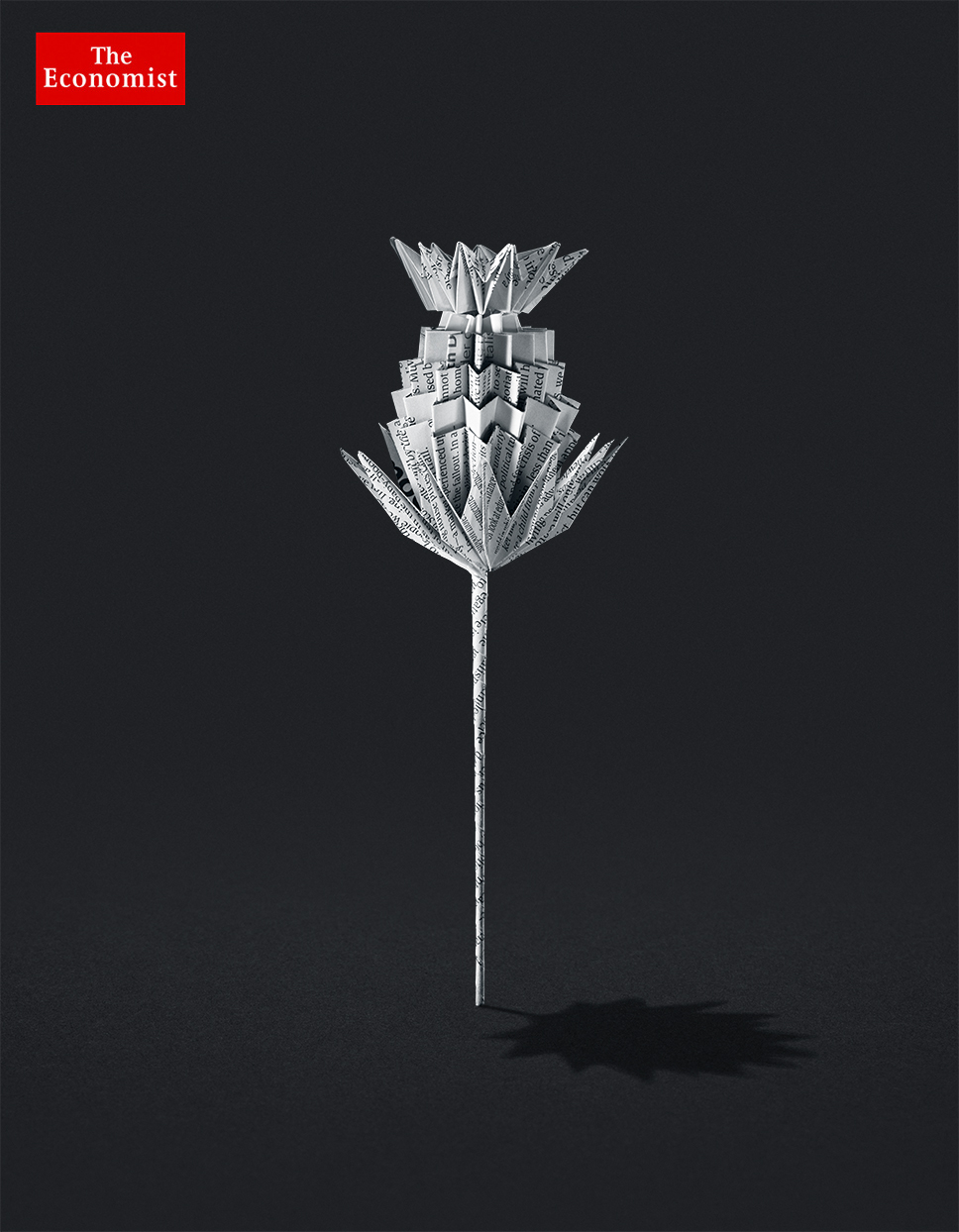 26_Thistle_2_shad2f